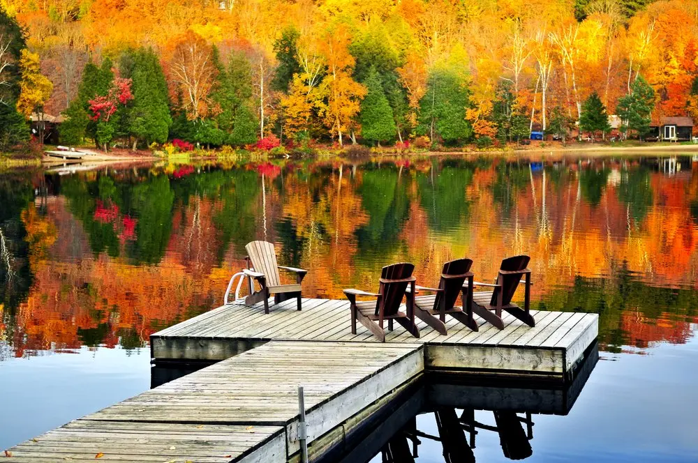 lake scene