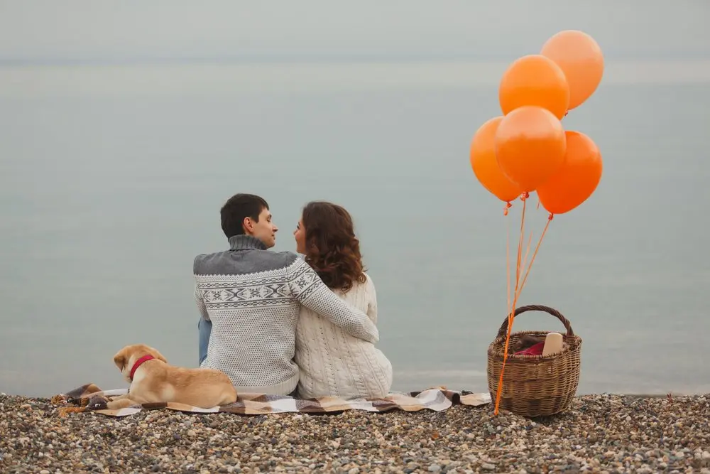 beach picnic with balloons and dog